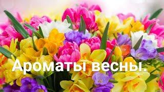 Бюджетные ароматы на 8 марта\Весенние ароматы\Ароматы весны и цветов.