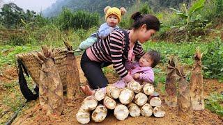 Looking back to the days when the single girl harvested everything to sell to raise her two children