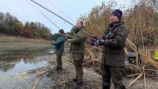 В ПРИЯМКУ збилась РИБА, Супер колір приманок, СУДАК ЩУКА