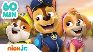 Paw Patrol - La Squadra dei Cuccioli | Tutto il meglio della PAW Patrol in 1 ORA! | Nick Jr.