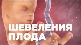 Шевеления Плода По Неделям Беременности. Ощущения Беременной.