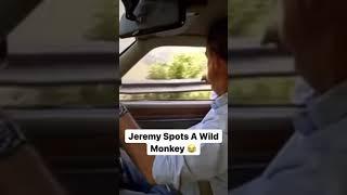 Jeremy Clarkson Admiring The Wildlife  #car #cars #carcommunity #topgear #jeremyclarkson