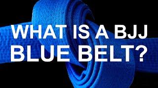 What is a BJJ Blue Belt?