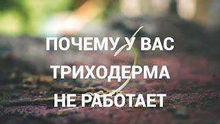Спекуляции на ТРИХОДЕРМЕ Как разводят доверчивых огородниковВ чем подвох