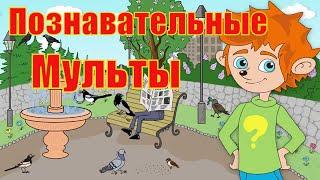 Познавательные мультфильмы - Четыре серии подряд Чевостик