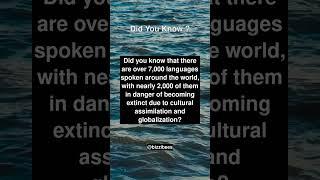Did You Know Facts - Cultural Diversity