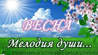 ВЕСНА. Мелодия души. FHD. ФОТО и ВИДЕО