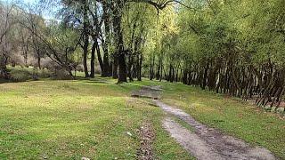 Asif Ahmad 786 is live