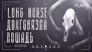 Все факты о долговязой лошади | long horse