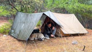 Camping bei starkem Regen und Regensturm! - Übernachtung Regen Camping mit meinem Hund