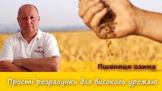 Пшениця озима. Прості розрахунки для високого врожаю.