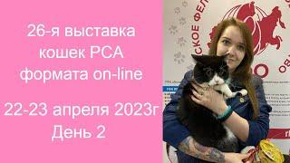 26-я выставка кошек PCA формата on-line 22-23.04.2023г. День 2