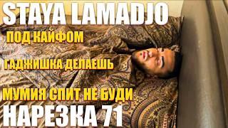 STAYA LAMADJO НАРЕЗКА 71 | ИЗМЕНА | ЧТОЛИ | КИК ИЗ СТАИ