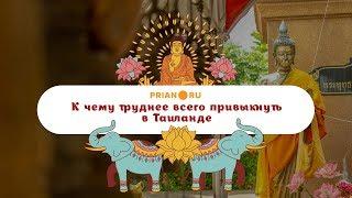 Тайский Рай: К чему нужно привыкать в Таиланде