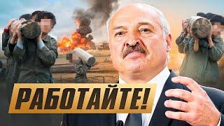 Лукашенко избавиться от бомжей и тунеядцев / Украинцев задержали в Беларуси / Зарплата мечты