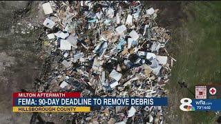 City of Tampa works to remove storm debris within 90 days