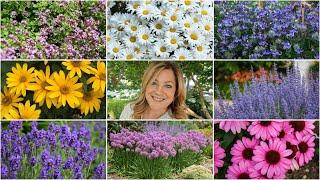 10 Perennials That Look GREAT in the HEAT!  // Garden Answer