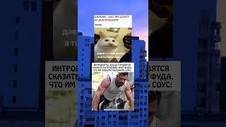 #мем