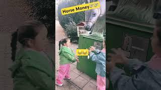 #horsemoney #follow #yeah #funny #cute #fun #girls #brincadeiras #money #follow #yeah #baby