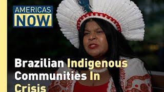 Brazil's Indigenous Communities Battle Climate Change and Deforestation