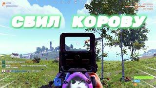 Сбил корову в Rust/Раст