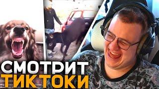 Пятёрка Смотрит ТикТоки на Новом Аккаунте | Социальный Эксперимент Пятёрки