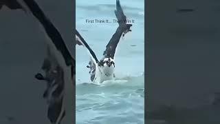 may I come in #kgfchapter3 #yash #eagles #win #sea #fish #hunter #trendingnow