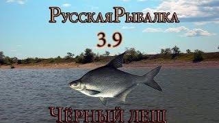 Русская рыбалка 3.99-ловим чёрного леща на амуре.