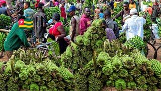 Cost of living in the biggest wholesale food market in Togo west Africa. Shop and cook with me.