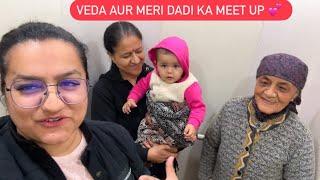 VEDA AUR MERI DADI KA MEET UP ️ || VEDA IS PROFESSIONAL DOG WALKER || ROHINIDILAIK