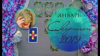 СКОРПИОН ЯНВАРЬ 2019 Таро-прогноз