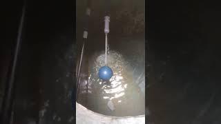 IMG 6844