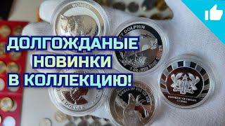 Мини распаковка серебряных монет! Долгожданное пополнение коллекции!