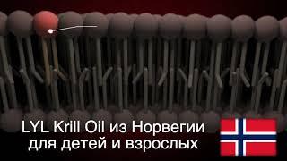 Что такое масло криля? Krill Oil теперь в Украине