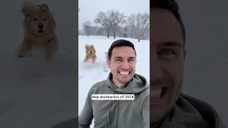 Top memories of the year!