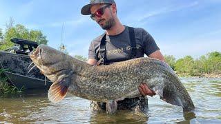 We're catching Catfish on a French river