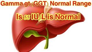 Gamma gt (GGT) Normal Range | What is a normal gamma GT reading? | What causes high GGT levels?