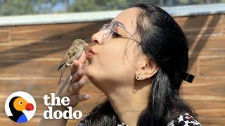 Tiny Rescue Bird Follows Her Mom Around Like A Dog | The Dodo