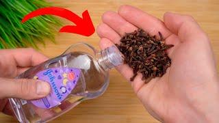 Add cloves in baby oil ‼ and in 1 minute you will NOT want to make another recipe