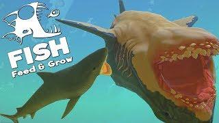 НОВАЯ ТИГРОВАЯ АКУЛА, ОБНОВЛЕНИЕ | Feed and Grow Fish