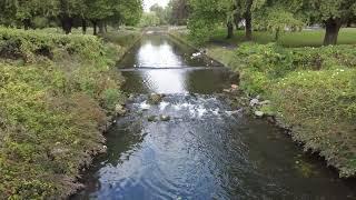 Down by the tolka river