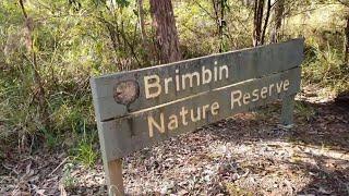 Brimbin Nature Reserve