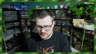 Terraristik Stream vom 25.02.2025