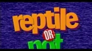 Bill Nye the Science Guy S02E18 Reptiles