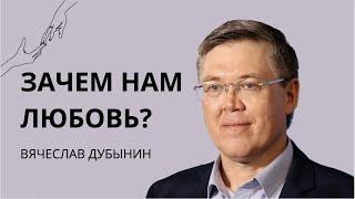 Мы и наш мозг: любовь, любопытство и приключения  Вячеслав Дубынин