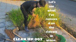 Removing vegetation from the sidewalk   with rudimentary tools .clean Up 007