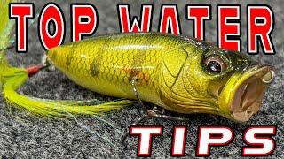 Try These Topwater Tricks And Mods For Summer Bass!