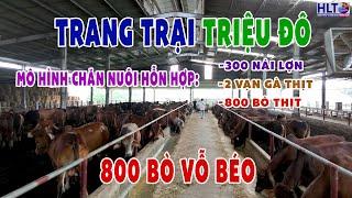 Sau Gần Nửa Năm Tôi Đã Quay Lại Thăm TRẠI BÒ TRIỆU ĐÔ | Thực Sự Tôi Đã Quá Bất Ngờ & Ấn Tượng