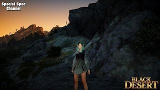 Black Desert Online. Продолжение похождений на ОБТ. Стрим