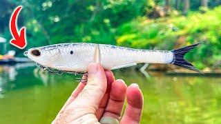 These Creek Fish Have NEVER Seen Anything Like This (Berkley Nessie)